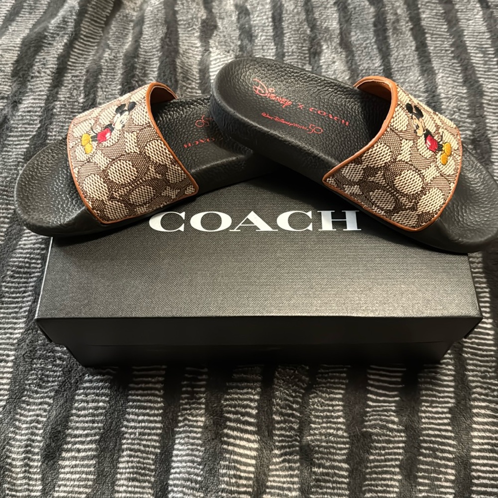 Minnie slide coach brand